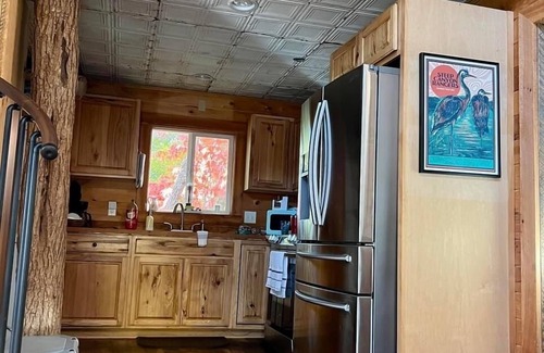 Brevard Cottage | SECLUDED MOUNTAIN GETAWAY WITH MOUNTAIN VIEWS/PRIVATE LAKE ACCESS/PET OK/WIFI