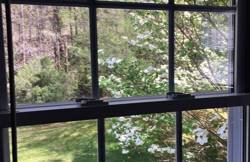 Vonore Cottage | Secluded Mountain Retreat on 200+ Acres - Hiking on-site. National Forest