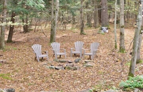 Smallwood Cabin | Secluded Peaceful Cabin in the Forest