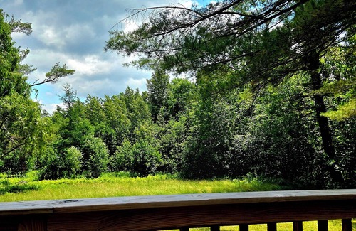 North Pole Cabin | Secluded & quiet, close to town. Stone fireplace inside & a firepit out back