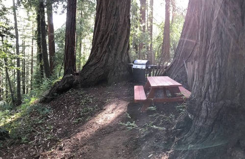 Los Gatos RV Rental | Secluded Small Rustic Camping Cabin In the Redwoods in 45acre Mountain Retreat