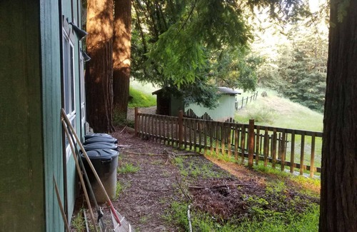 Los Gatos RV Rental | Secluded Small Rustic Camping Cabin In the Redwoods in 45acre Mountain Retreat
