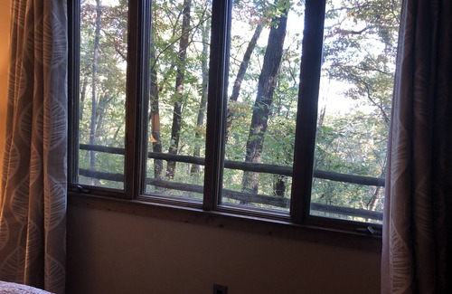 Cassville Apartment | Secluded Suite in the FOREST