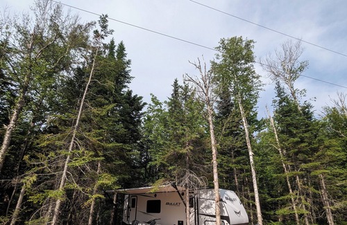 Cape Breton Island House | Secluded, well equipped 'offgrid' RV w/ outdoor space, trails. Pet friendly