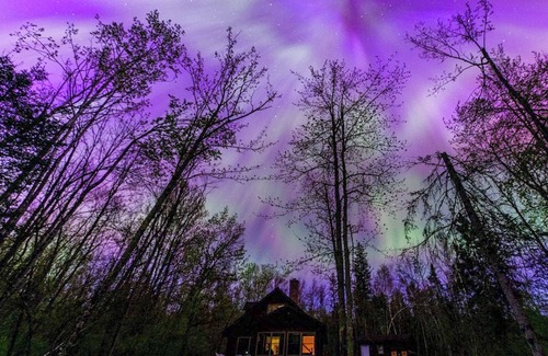 Ojibwa Cabin | Seclusion, Avail Christmas-Hot Tub, WIFI, 2 Kings