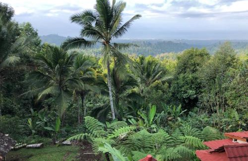 Pekutatan House | Sedana Yoga Resort