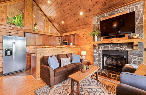 Bryson City Cabin | 'See The View' Times 2