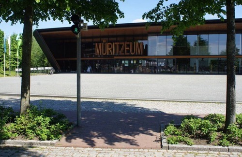 Muritz House | "Seeadler" Comfortable holiday residence