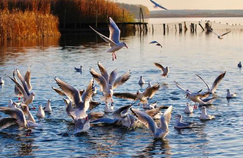 Rangsdorf Hotel | Seehotel Berlin-Rangsdorf