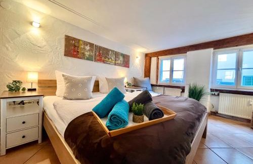 Altstadt Apartment | Seenest 'Zum blauen Schild' mit Parkplatz