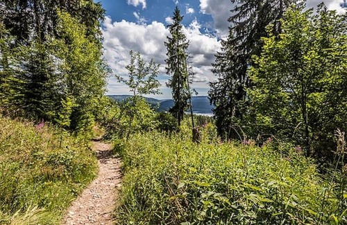 Titisee-Neustadt Apartment | Seestraße Appartement