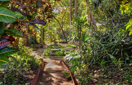 Umhlali Cottage | Self catering cottage en route to Game reserves set on an old leafy green farm.