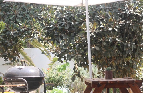 Vineta Apartment | self-catering, garden flat