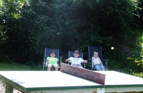 Willies Cottage | Semi-detached house in Willies with private garden and children's games