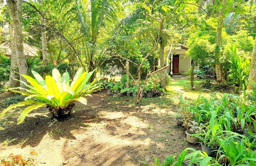 Mirissa Villa | Senarath Villa