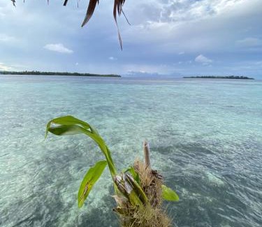 Pulau Fam House | Senjahomestayrajaampat