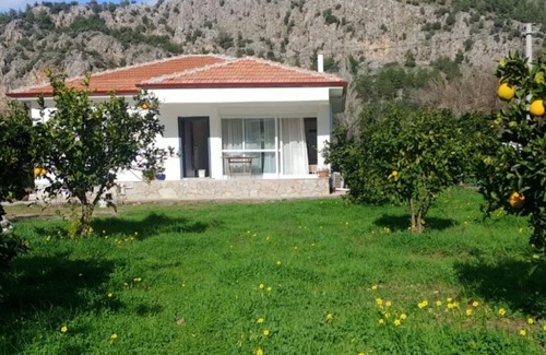 Avlana Villa | Separate House with Orchard in Marmaris Orhaniye