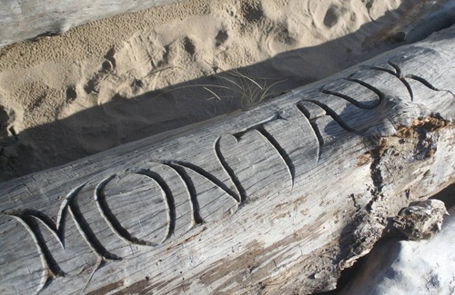 Montauk Cottage | SEPTEMER Serenity - Charming 3 Bedroom Beach House