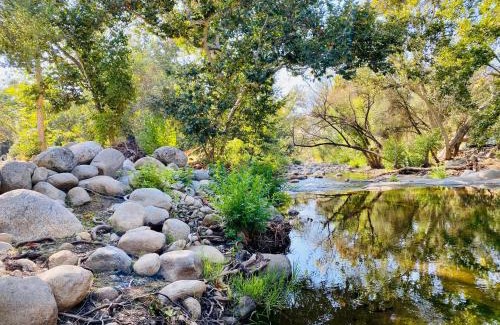 Three Rivers House | Sequoia Cabin by the River