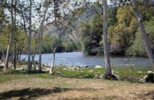 Three Rivers Hotel | Sequoia River Front Cabins