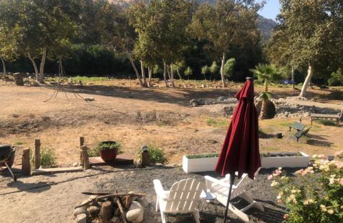 Three Rivers Hotel | Sequoia River Front Cabins