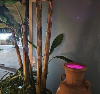 Neviano House | Serendila