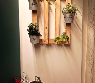 Municipio 2 Apartment | Serendipity