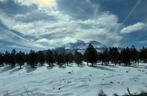 Mount Shasta House | Serene 2-bedroom house in Mount Shasta