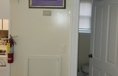 Austin Apartment | Serene and spacious one bedroom unit