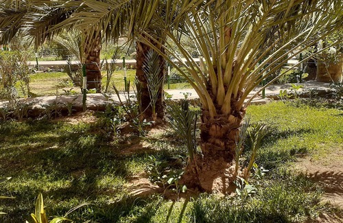 Erfoud Cabin | Serene retreat within palm grove and calm nature