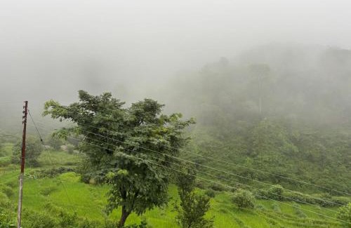 Gunehr Cabin | Serene Stay Bir Billing