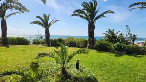 Summerstrand Apartment | Serenity at Brookes Hill Suites
