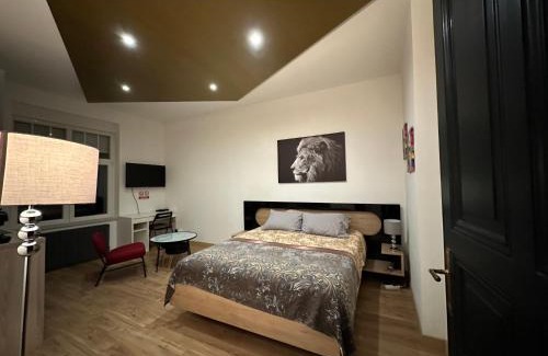 Nouvelle Ville Apartment | SERENITY BED PALACE 2 Metz GARE