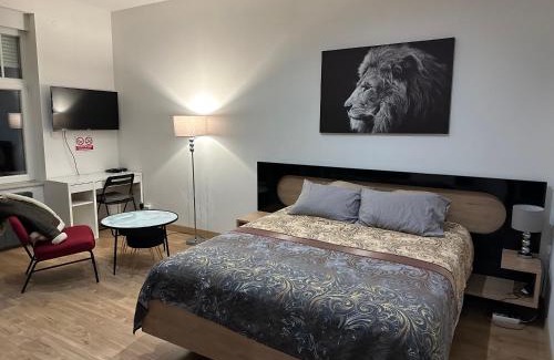 Nouvelle Ville Apartment | SERENITY BED PALACE 2 Metz GARE