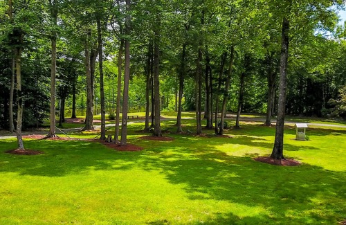 Lanexa Apartment | Serenity Cove, a waterfront private retreat .Close to Williamsburg, theme parks.