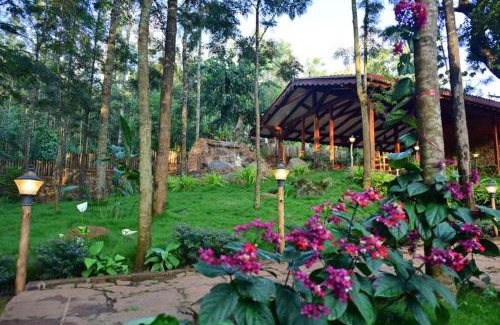 Chikkamagaluru Hotel | Sereno Chikmagalur