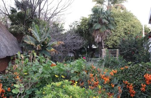 Serowe Hotel | Serowe Hotel