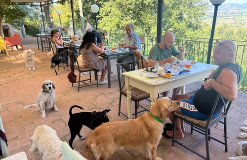 Trevi House | SetterHouseAgriHotel