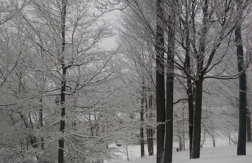 Seven Springs House | Seven Springs Townhouse with WiFi/NetFlix