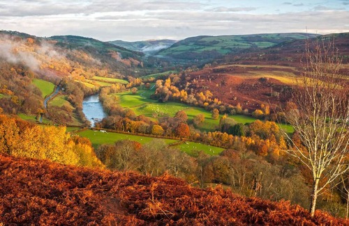 Builth Wells Ski Chalet | Sgrech y coed - Jay
