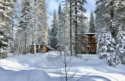 Golden House | Shady forest Base camp! 2 homes, a chalet and a cabin, sleeps 8!