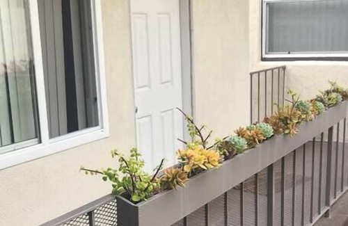 Belmont Shore Apartment | Shaggy Seahorse:Beach~Bay~2ndSt~Fast Wi-Fi+Pets OK