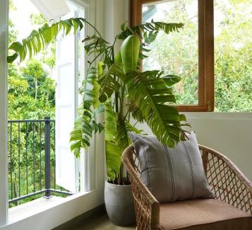 Dickwella House | Shaka Villa