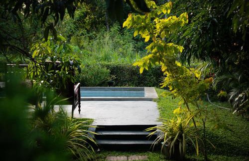 Kimbissa House | Shan Mango Homestay