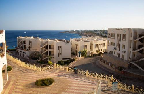 Sharm El Sheikh Hotel | Sharks Bay Oasis Soft only Hotel & Diving Center