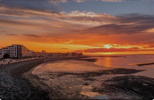 Morecambe Other | Shear water