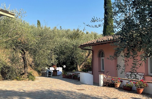 Montopoli in Val d'Arno House | Shelter among olive trees, Tuscan countryside, a stone's throw from characteristic cities