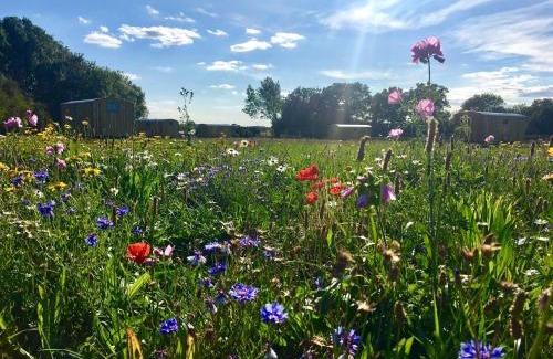 Bedfield House | Shepherds Hut 3