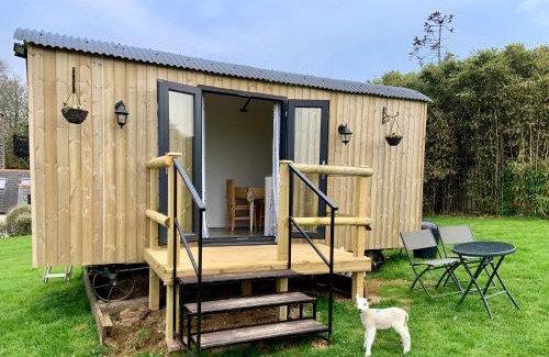 St Wenn Other | Shepherds hut with valley views
