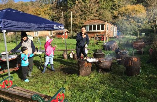 Stoke-sub-Hamdon Hotel | Shepherds Huts Ham Hill, 2 double beds, Bathroom, Lounge, Diner, Kitchen, LOVE dogs & Cats Looking out to lake and by Ham Hill Country Park plus parking for large vehicles available also great deals on workers long term This is the place to relax and BBQ